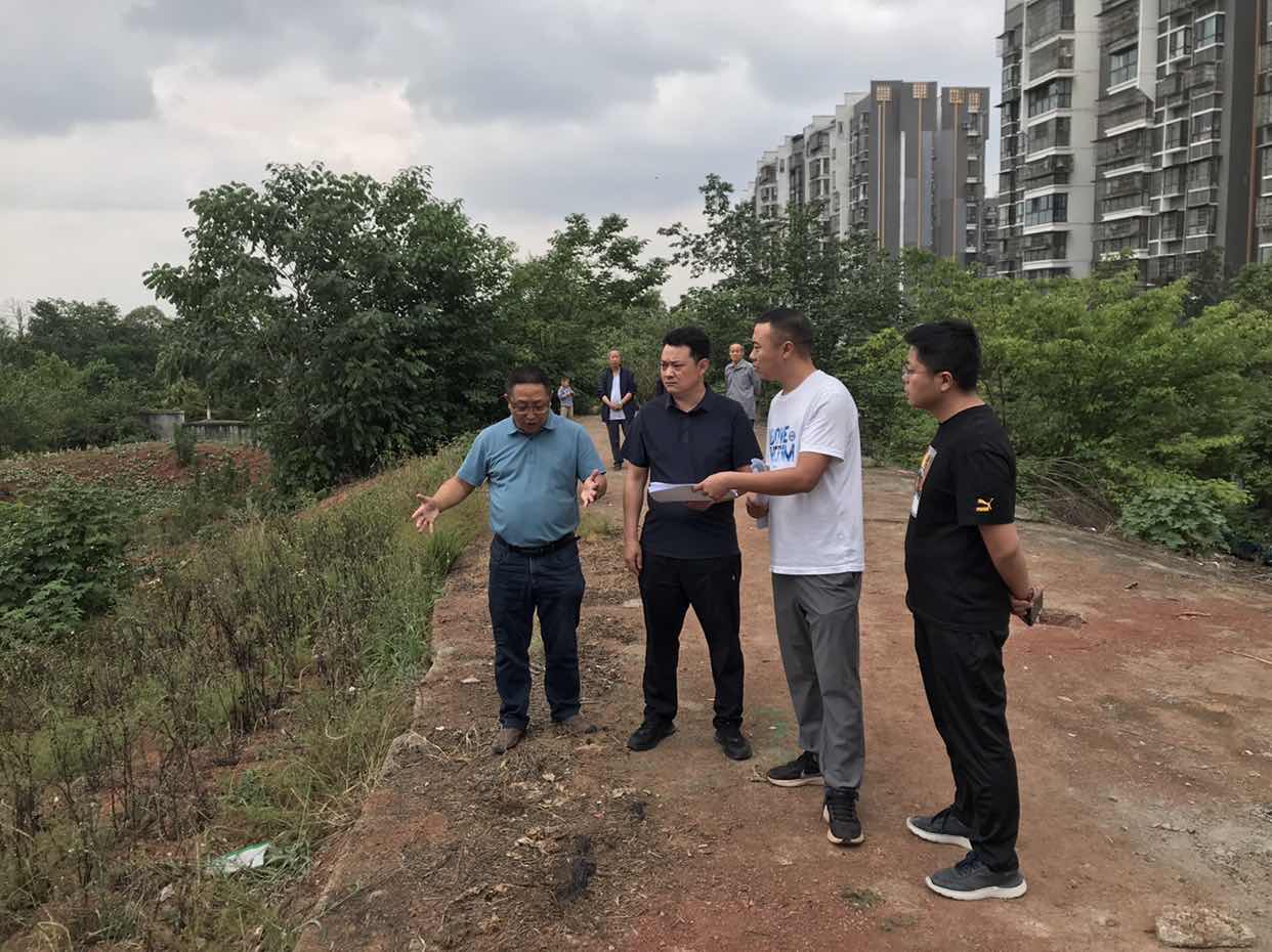 兴华生态公司总经理张波现场调研一里塘护坡工作推进情况